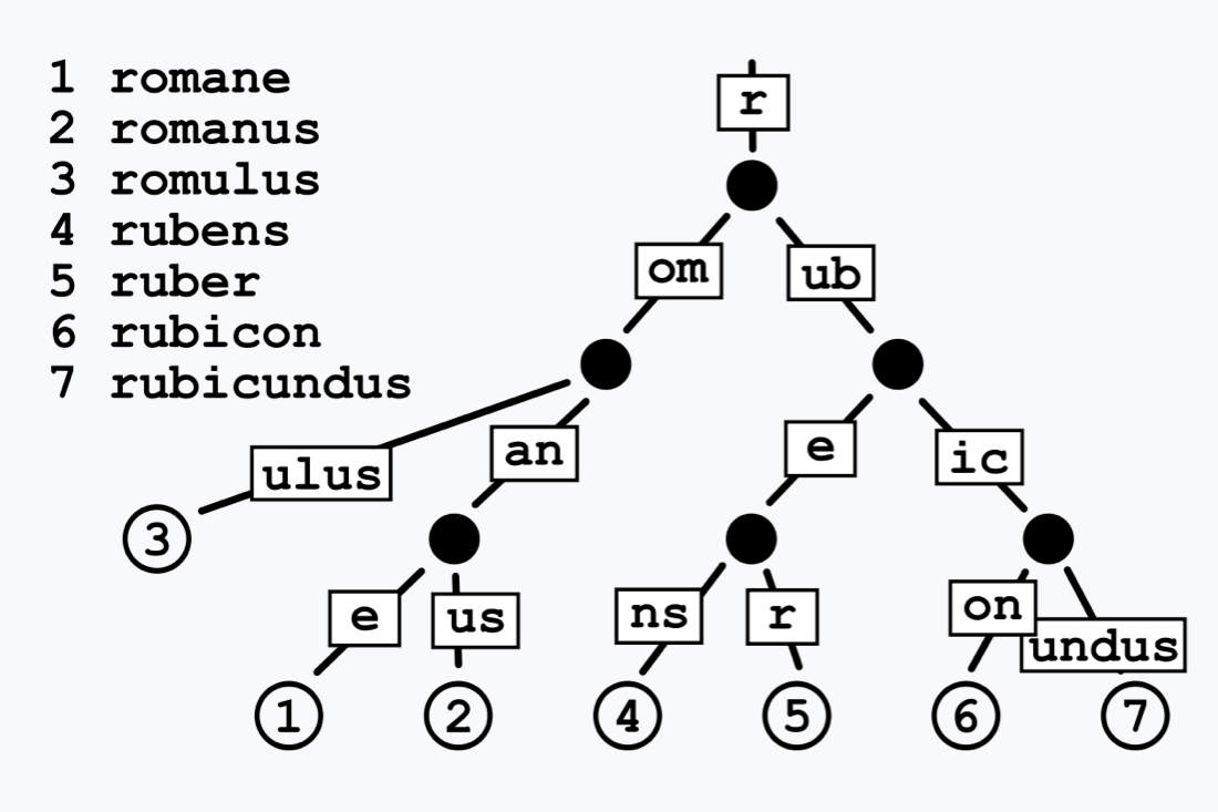 Hori Systems – Radix Tree